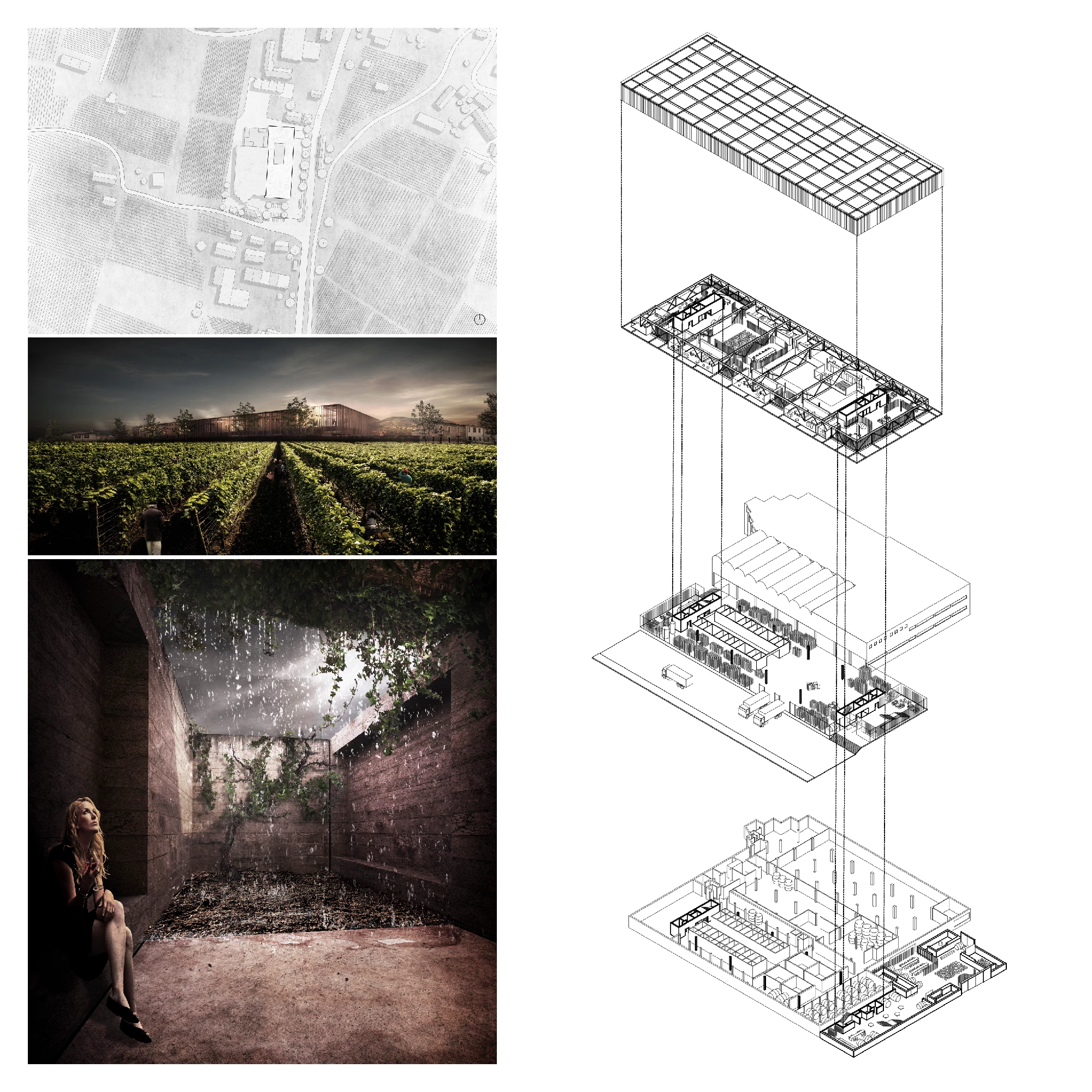 Ambrož Bartol, Dominik Košak, Miha Munda, Rok Primažič, Rok Staudacher - Mednarodni natečaj Young architects competition; Wine Culture Centre